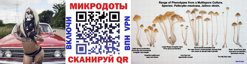 Псилоцибиновые грибы Psilocybine cubensis Ейск