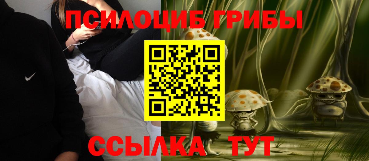 Галлюциногенные грибы Cubensis Ейск