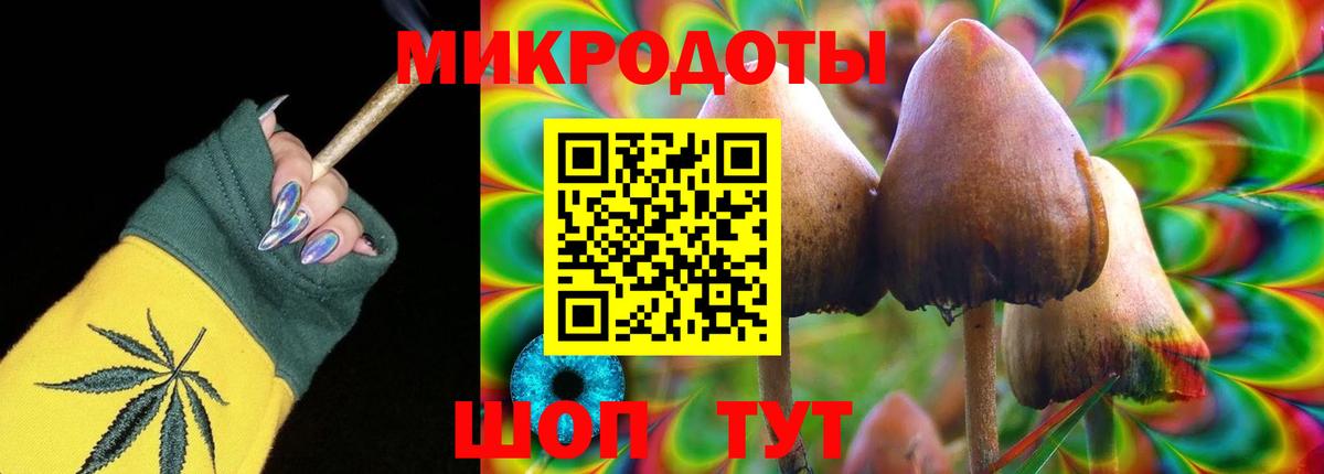 Галлюциногенные грибы Psilocybe  Вход с VPN  Галлюциногенные грибы MAGIC MUSHROOMS  Ейск 