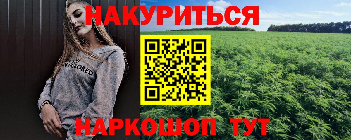 Каннабис OG Kush Ейск